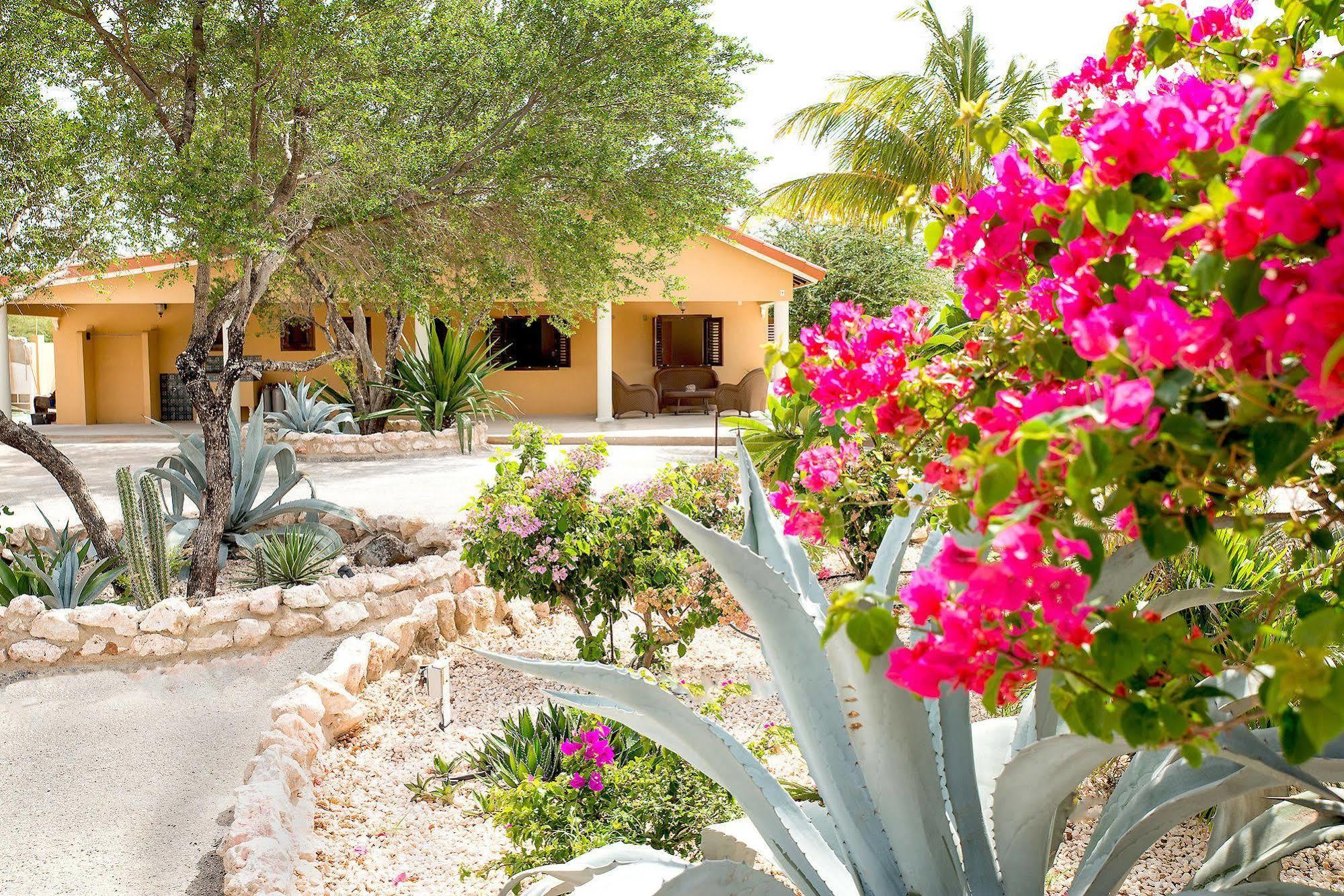 Lagun Blou Dive And Beach Resort Εξωτερικό φωτογραφία