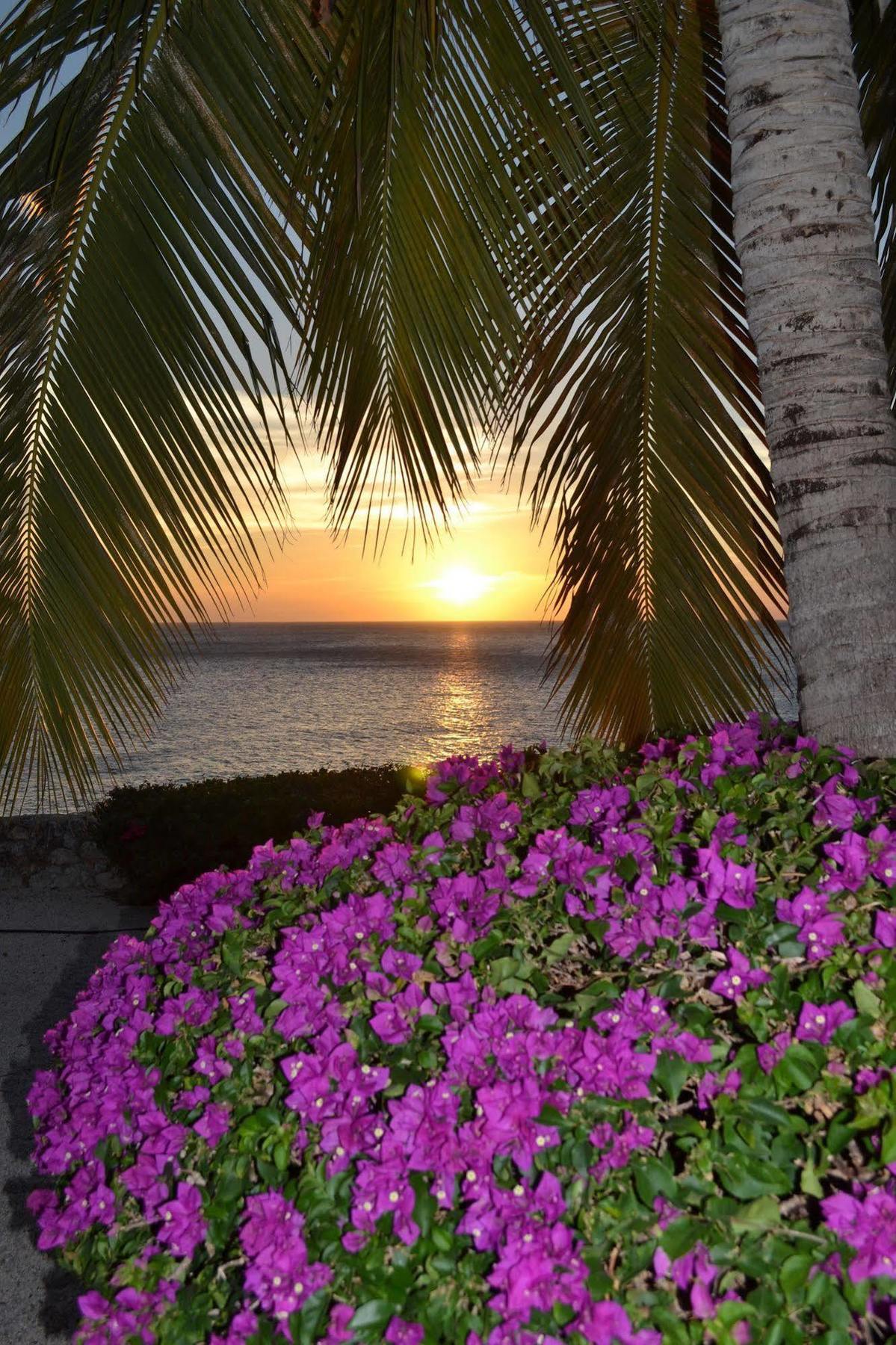 Lagun Blou Dive And Beach Resort Εξωτερικό φωτογραφία